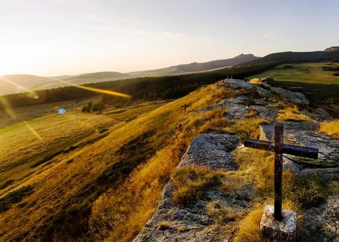 De Charme Avec Terrasse, Proche Sports D'hiver, Animaux Admis - Fr-1-582-26 Ferienhaus Freycenet-la-Cuche